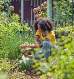 GARDENA - ExpertCut - Snoeischaar - 22 Diameter Tak -Gardena Verkoopwinkel 1116x1200 1