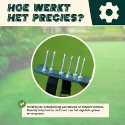 Merkloos Gazonbeluchtingssandalen Premium - Gazonbeluchter - Beluchter - Gazonverluchter - Gazonpriksandalen - Verticuteerroller - Graszaad - Gazonmest - Kerstcadeau - Voor Mannen - Voor Vrouwen - Cadeautjes- Vaderdag Cadeau- Geschenk- Cadeautjes -Gardena Verkoopwinkel 1200x1197 11