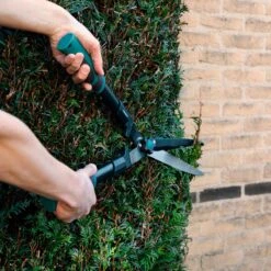 VONROC Snoeischaren Set / Snoeiset - 3-delig - Takkenschaar, Heggenschaar En Snoeischaar 13 VONROC Snoeischaren Set / Snoeiset - 3-delig - Takkenschaar, Heggenschaar En Snoeischaar -Gardena Verkoopwinkel 1200x1200 213