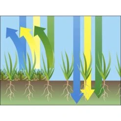 GARDENA EVC 1000 Verticuteermachine - Werkbreedte 30 Cm - Werkgebied 600m2 25 GARDENA EVC 1000 Verticuteermachine - Werkbreedte 30 Cm - Werkgebied 600m2 -Gardena Verkoopwinkel 1200x1200 352