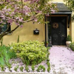 Talen Tools - Voetenveger - Dubbel - Harde Kunststof Borstels -Gardena Verkoopwinkel 1200x1200 597