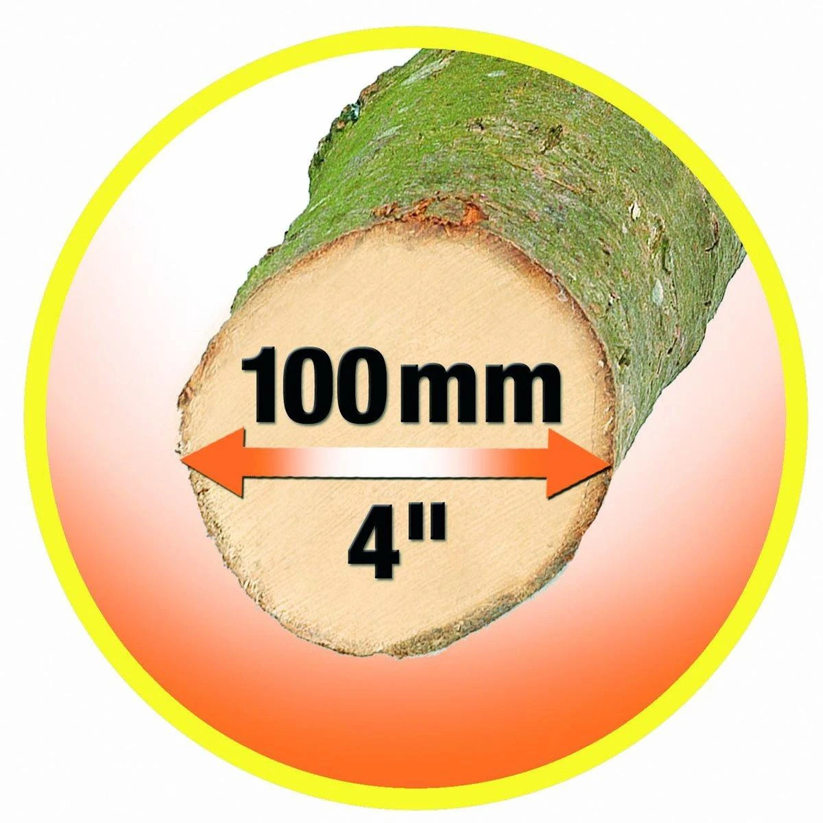 Black & Decker BLACK+DECKER GK1000-QS Alligator Snoeizaag - 550W - 10cm - Gesnoerd 3 Black & Decker BLACK+DECKER GK1000-QS Alligator Snoeizaag - 550W - 10cm - Gesnoerd - Afbeelding 3