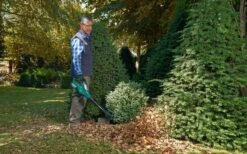 Bosch ALB 36 LI - Bladblazer - Met 36 V Accu En Lader -Gardena Verkoopwinkel 1200x747