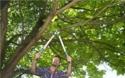 Gardena EasyCut Takkenschaar 68B + Classic Snoeischaar 8754 Display 1stuk 12003-30 -Gardena Verkoopwinkel 1200x749 2