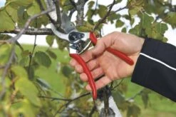 Felco 2 Snoeischaar - Rechtshandig - Max. Knipdiameter 25 Mm - Lengte 215 Mm -Gardena Verkoopwinkel 1200x796 6