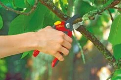 WOLF-Garten Snoeischaar "Premium Plus" RS 4000 - Aambeeld - Max. Knipdiameter 25 Mm - Links- En Rechtshandige - Softinleg Handgreep - Snijhoek 30° - Voor Grote Handen - Vervangbare Messen En Aambeeld -Gardena Verkoopwinkel 1200x798 10