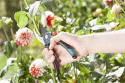 GARDENA Comfort B/M Bypass Snoeischaar - Ø 24mm - Met Sapgeul -Gardena Verkoopwinkel 1200x799 104