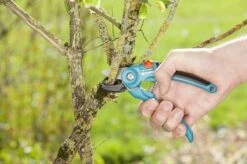 GARDENA Classic Aambeeld Snoeischaar - Ø 18 Mm 7 GARDENA Classic Aambeeld Snoeischaar - Ø 18 Mm -Gardena Verkoopwinkel 1200x799 71