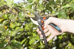 GARDENA - Comfort B/S-XL Bypass - Snoeischaar - Ø 24 Mm - 25 Jaar Garantie -Gardena Verkoopwinkel 1200x799 77