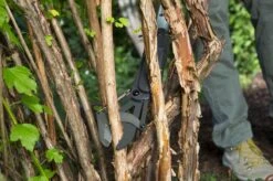 GARDENA - SlimCut Takkenschaar -28mm- Met Hefboommechanisme -Gardena Verkoopwinkel 1200x799 83