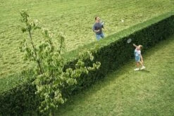 Bosch AHS 50-20 Accu Heggenschaar - Met 1 X 18 V Accu En Lader 14 Bosch AHS 50-20 Accu Heggenschaar - Met 1 X 18 V Accu En Lader -Gardena Verkoopwinkel 1200x800 113