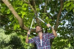 GARDENA EnergyCut Takkenschaar 75B - 42mm 11 GARDENA EnergyCut Takkenschaar 75B - 42mm -Gardena Verkoopwinkel 1200x800 121