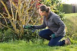 Bosch KEO 18 Accu Tuinzaagmachine - Snijdiameter Van 80 Mm - Met 18 V Accu En Lader -Gardena Verkoopwinkel 1200x800 133