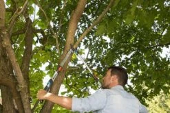 Gardena TeleCut Takkenschaar 650-900 B - Uitschuifbare Armen - Tot Max 90 Cm 19 Gardena TeleCut Takkenschaar 650-900 B - Uitschuifbare Armen - Tot Max 90 Cm -Gardena Verkoopwinkel 1200x800 153