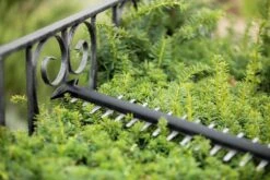 Bosch UniversalHedgeCut 18-55 Heggenschaar - Zonder 18V Accu En Oplader 14 Bosch UniversalHedgeCut 18-55 Heggenschaar - Zonder 18V Accu En Oplader -Gardena Verkoopwinkel 1200x800 158