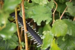 Bosch UniversalHedgeCut 18-55 Heggenschaar - Zonder 18V Accu En Oplader 17 Bosch UniversalHedgeCut 18-55 Heggenschaar - Zonder 18V Accu En Oplader -Gardena Verkoopwinkel 1200x800 161