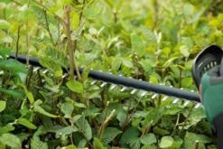 Bosch UniversalHedgeCut 18-50 Heggenschaar - Met 18 V Accu En Lader -Gardena Verkoopwinkel 1200x800 177