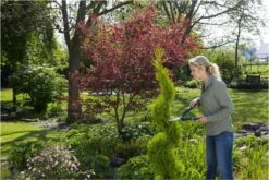 GARDENA PrecisionCut Buxusschaar - Meslengte 18 Cm - Vormsnoeien -Gardena Verkoopwinkel 1200x800 187