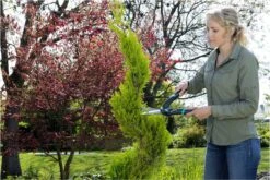 GARDENA PrecisionCut Buxusschaar - Meslengte 18 Cm - Vormsnoeien -Gardena Verkoopwinkel 1200x800 188