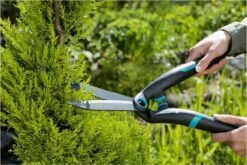 GARDENA PrecisionCut Buxusschaar - Meslengte 18 Cm - Vormsnoeien -Gardena Verkoopwinkel 1200x800 189