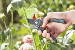 GARDENA Comfort B/M Bypass Snoeischaar - Ø 24mm - Met Sapgeul -Gardena Verkoopwinkel 1200x800 202