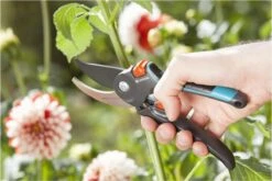 GARDENA Comfort B/M Bypass Snoeischaar - Ø 24mm - Met Sapgeul -Gardena Verkoopwinkel 1200x800 204