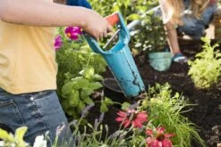 GARDENA Bollenplanter - Diepteaanduiding - Automatische Aardeloslating 12 GARDENA Bollenplanter - Diepteaanduiding - Automatische Aardeloslating -Gardena Verkoopwinkel 1200x800 283