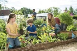 GARDENA Combisystem Bladharkje - Werkbreedte 12 Cm - 25 Jaar Garantie 18 GARDENA Combisystem Bladharkje - Werkbreedte 12 Cm - 25 Jaar Garantie -Gardena Verkoopwinkel 1200x800 286