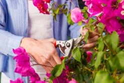 Felco 14 Snoeischaar | Ergonomisch | Voor Kleine Handen -Gardena Verkoopwinkel 1200x800 92