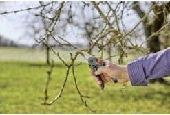 GARDENA - ExpertCut - Snoeischaar - 22 Diameter Tak -Gardena Verkoopwinkel 1200x815 1