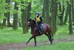 Aqua2Go GD86 Staand Electrische Pressure Washer - 20 Liter Tank - Afneembare Pomp 39 Aqua2Go GD86 Staand Electrische Pressure Washer - 20 Liter Tank - Afneembare Pomp -Gardena Verkoopwinkel 1200x817 1