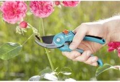 GARDENA - Classic B/S-M Bypass Snoeischaar - Ø 22mm - 25 Jaar Garantie -Gardena Verkoopwinkel 1200x820 1