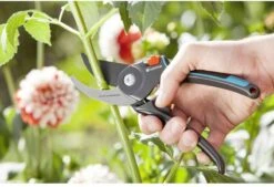 GARDENA Comfort B/M Bypass Snoeischaar - Ø 24mm - Met Sapgeul -Gardena Verkoopwinkel 1200x822