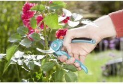 GARDENA 08853-20 Gardena Tuinschaar 10 GARDENA 08853-20 Gardena Tuinschaar -Gardena Verkoopwinkel 1200x825 10