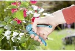 GARDENA - Classic B/S-M Bypass Snoeischaar - Ø 22mm - 25 Jaar Garantie -Gardena Verkoopwinkel 1200x825 12