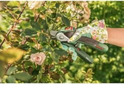 Bosch EasyPrune Accu Snoeischaar - 3.6 V Accu - USB -Gardena Verkoopwinkel 1200x825 16