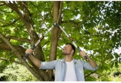 Gardena TeleCut Takkenschaar 650-900 B - Uitschuifbare Armen - Tot Max 90 Cm 18 Gardena TeleCut Takkenschaar 650-900 B - Uitschuifbare Armen - Tot Max 90 Cm -Gardena Verkoopwinkel 1200x826 2