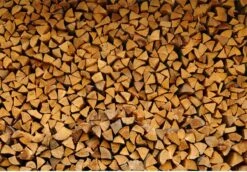 Steko Houtsplijter Voor Grote Blokken - Voor Aanmaakhout & Brandhout - Houtklover - Houtkliever - Splijtwig - Handmatig - Overal Te Gebruiken 1605 Gram - Metaal - Kloofwig - HOGE VOLUMEKORTING 8 Steko Houtsplijter Voor Grote Blokken - Voor Aanmaakhout & Brandhout - Houtklover - Houtkliever - Splijtwig - Handmatig - Overal Te Gebruiken 1605 Gram - Metaal - Kloofwig - HOGE VOLUMEKORTING -Gardena Verkoopwinkel 1200x837 2