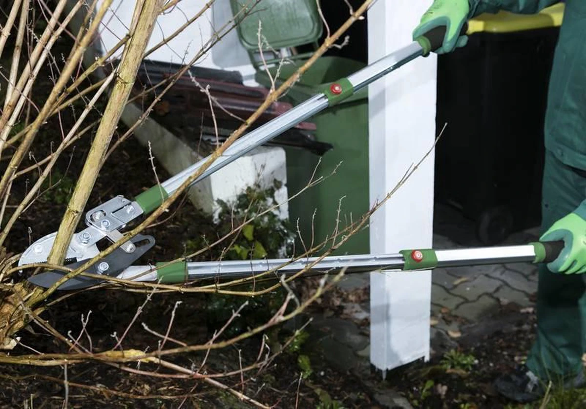 Telescopische Takkenschaar, 6-voudig 2 Telescopische Takkenschaar, 6-voudig - Afbeelding 2