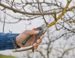 GARDENA - ExpertCut - Snoeischaar - 22 Diameter Tak -Gardena Verkoopwinkel 1200x929