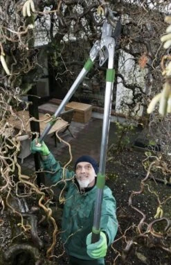 Telescopische Takkenschaar, 6-voudig 6 Telescopische Takkenschaar, 6-voudig -Gardena Verkoopwinkel 775x1200 1