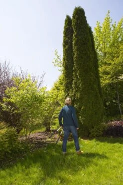 GARDENA TeleCut Heggenschaar - Telescopische Handgrepen Van 70-90 Cm 16 GARDENA TeleCut Heggenschaar - Telescopische Handgrepen Van 70-90 Cm -Gardena Verkoopwinkel 799x1200 44