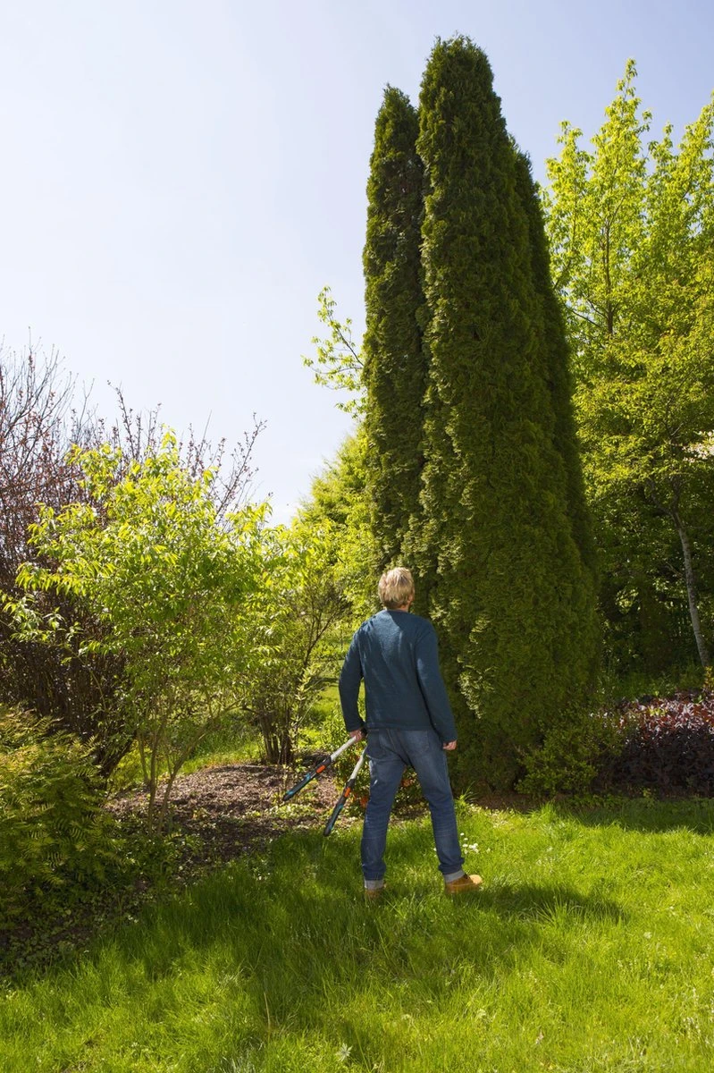 GARDENA TeleCut Heggenschaar - Telescopische Handgrepen Van 70-90 Cm 7 GARDENA TeleCut Heggenschaar - Telescopische Handgrepen Van 70-90 Cm - Afbeelding 7