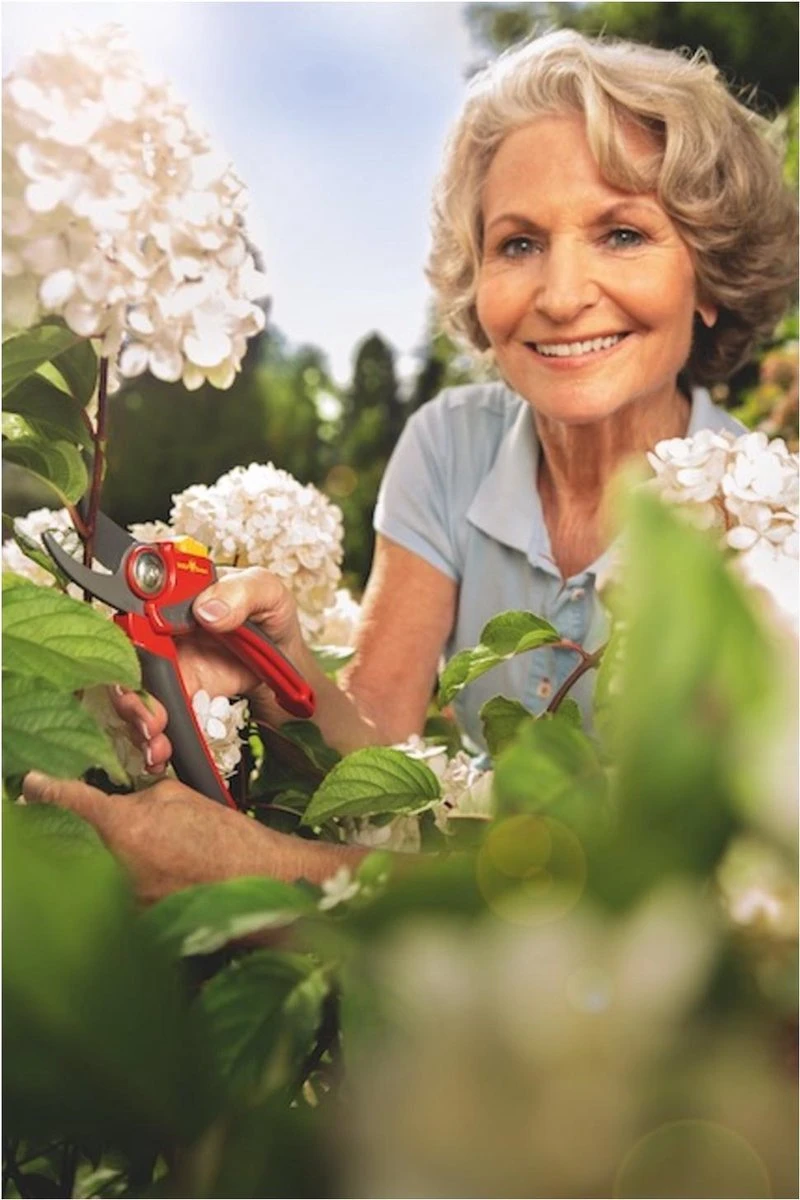 WOLF-Garten Snoeischaar "Premium Plus" RR 4000 - Max. Knipdiameter 22 Mm - Links- En Rechtshandige - Softinleg Handgreep - Snijhoek 30° - Voor Grote Handen - Vervangbare Messen 8 WOLF-Garten Snoeischaar "Premium Plus" RR 4000 - Max. Knipdiameter 22 Mm - Links- En Rechtshandige - Softinleg Handgreep - Snijhoek 30° - Voor Grote Handen - Vervangbare Messen - Afbeelding 8