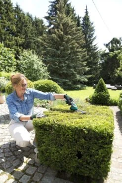 Bosch ISIO Gen III Accu Buxusschaar + Grasschaar -Gardena Verkoopwinkel 800x1200 30