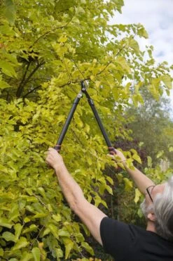 Kreator KRTGR4001 Takkenschaar - 650mm -Gardena Verkoopwinkel 800x1200 36