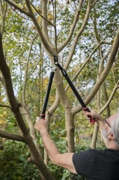 Kreator KRTGR4001 Takkenschaar - 650mm -Gardena Verkoopwinkel 800x1200 37