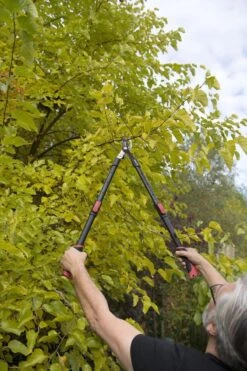 Kreator KRTGR4003 Telescopische Takkenschaar – Jong Hout - Knipdiameter: Ø34 Mm -Gardena Verkoopwinkel 800x1200 38