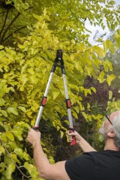 Kreator KRTGR4013 Telescopische Takkenschaar - 63-89 Cm Totale Lengte - . Ø39 Mm Knipdiameter -Gardena Verkoopwinkel 800x1200 39