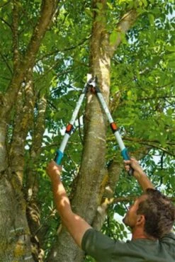 Gardena TeleCut Takkenschaar 650-900 B - Uitschuifbare Armen - Tot Max 90 Cm 24 Gardena TeleCut Takkenschaar 650-900 B - Uitschuifbare Armen - Tot Max 90 Cm -Gardena Verkoopwinkel 801x1200 1